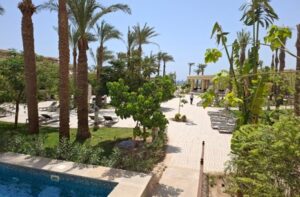 Our Projects image 2025 12 11t164303.521.jpg